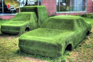 green cars.jpg
